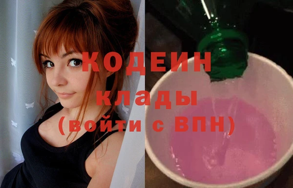 прущие грибы Яранск