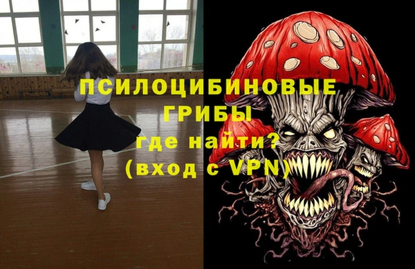 PSILOCYBIN Абаза