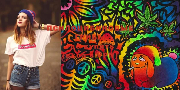 PSILOCYBIN Абаза