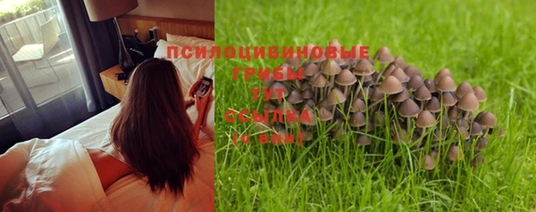 тгк Нефтегорск