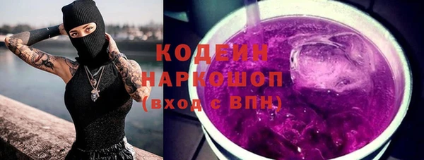 дмт Елизово