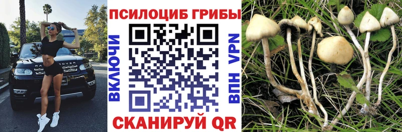 Псилоцибиновые грибы Magic Shrooms  гидра сайт  Невельск 